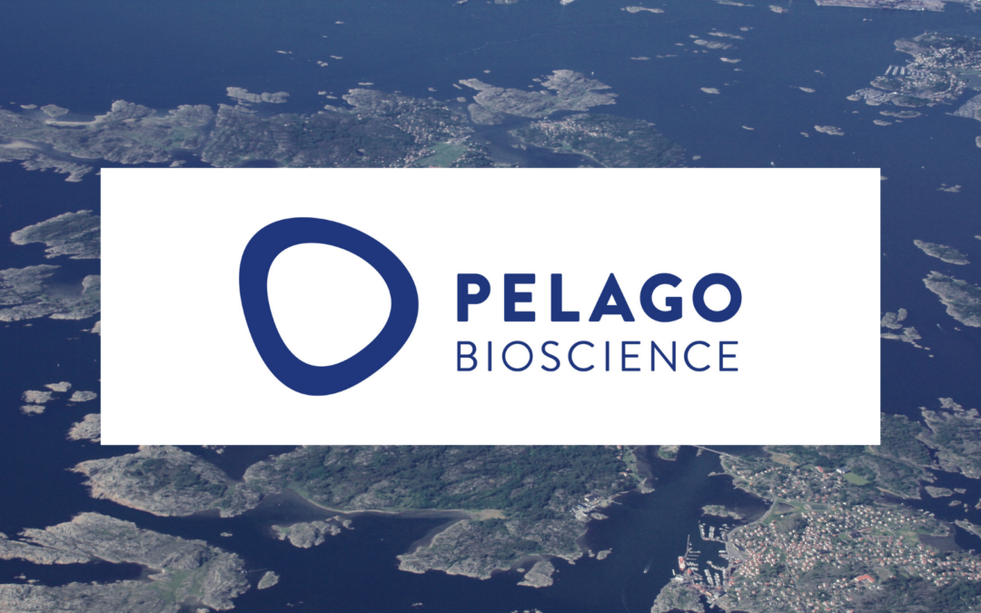 Pelago Bioscience logotype featuring cell symbol overlaid over a bird's eye view of an archipelago.